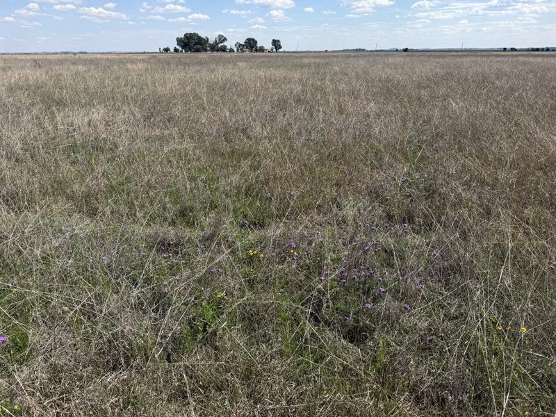 0 Bedroom Property for Sale in Koppies Free State